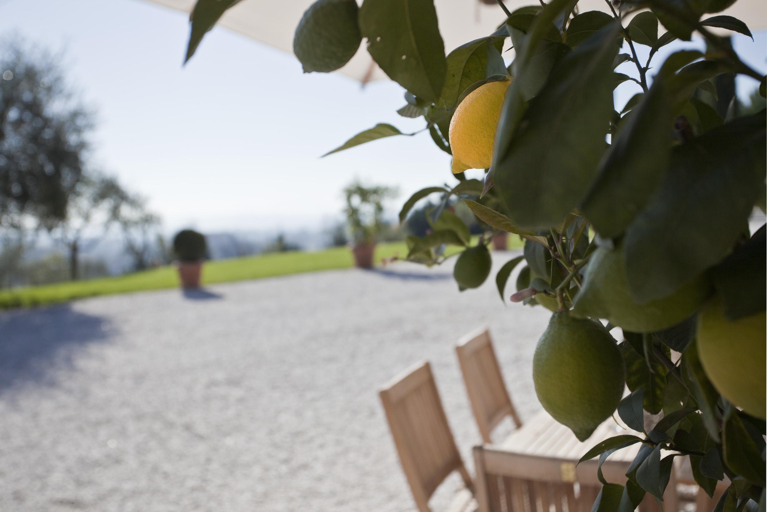 Aparthotel Relais Belvedere Incisa in Val d'Arno